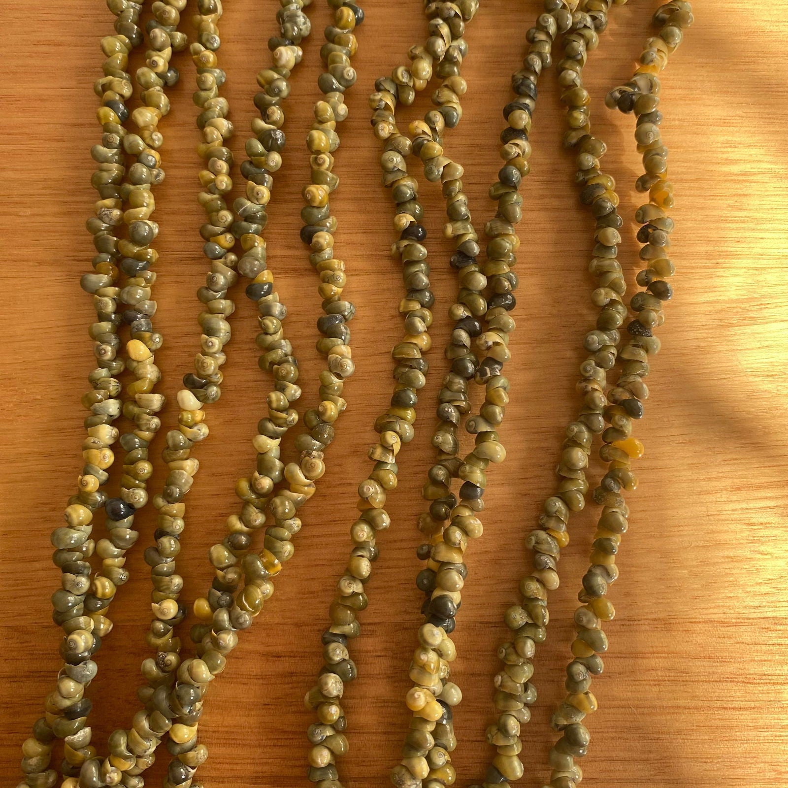 Ula Sisi Shell Necklace 40cm Length - Island Aesthetica