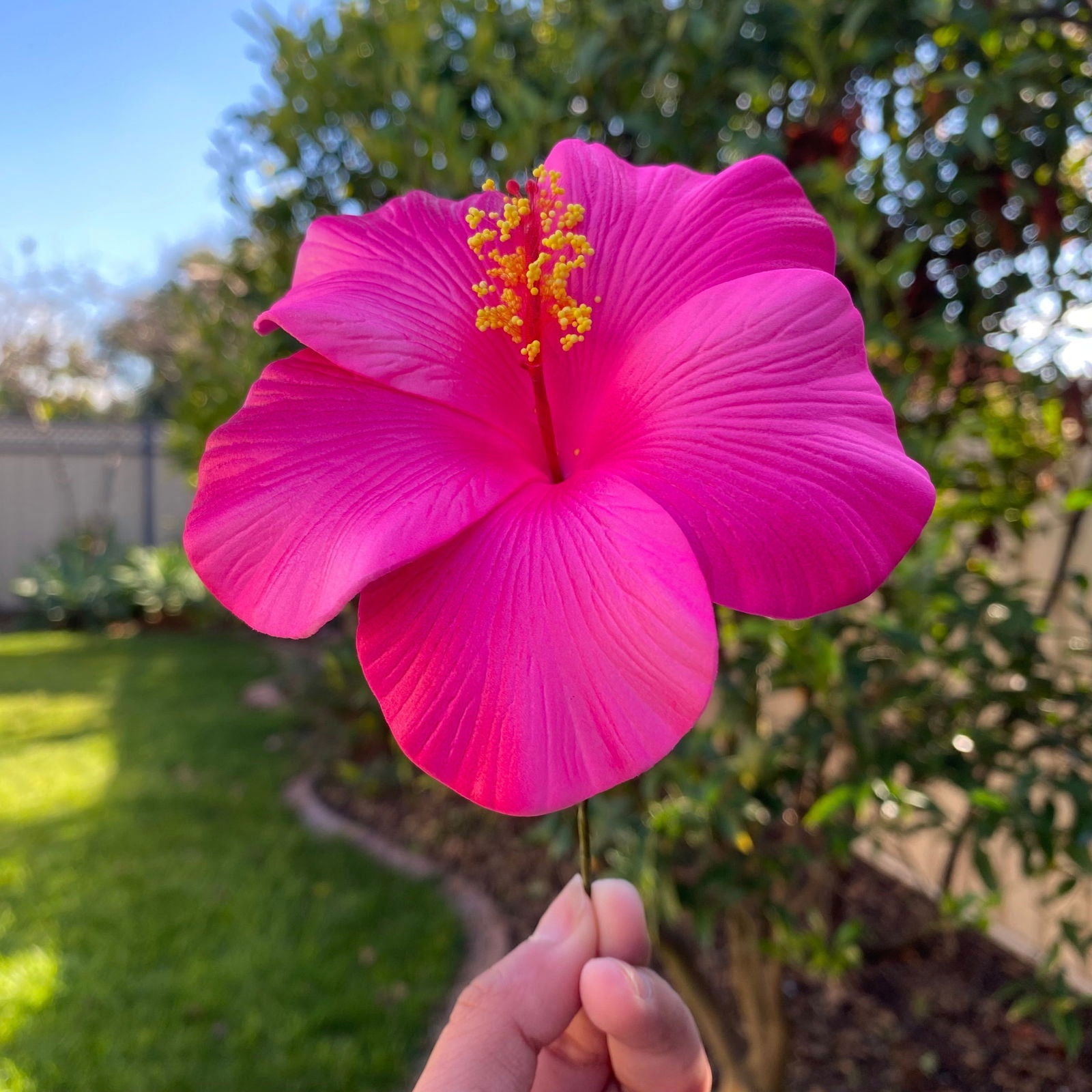 XL Gradient Hibiscus Polynesian Sei Artificial Foam Hair Flowers 11cm - Island Aesthetica