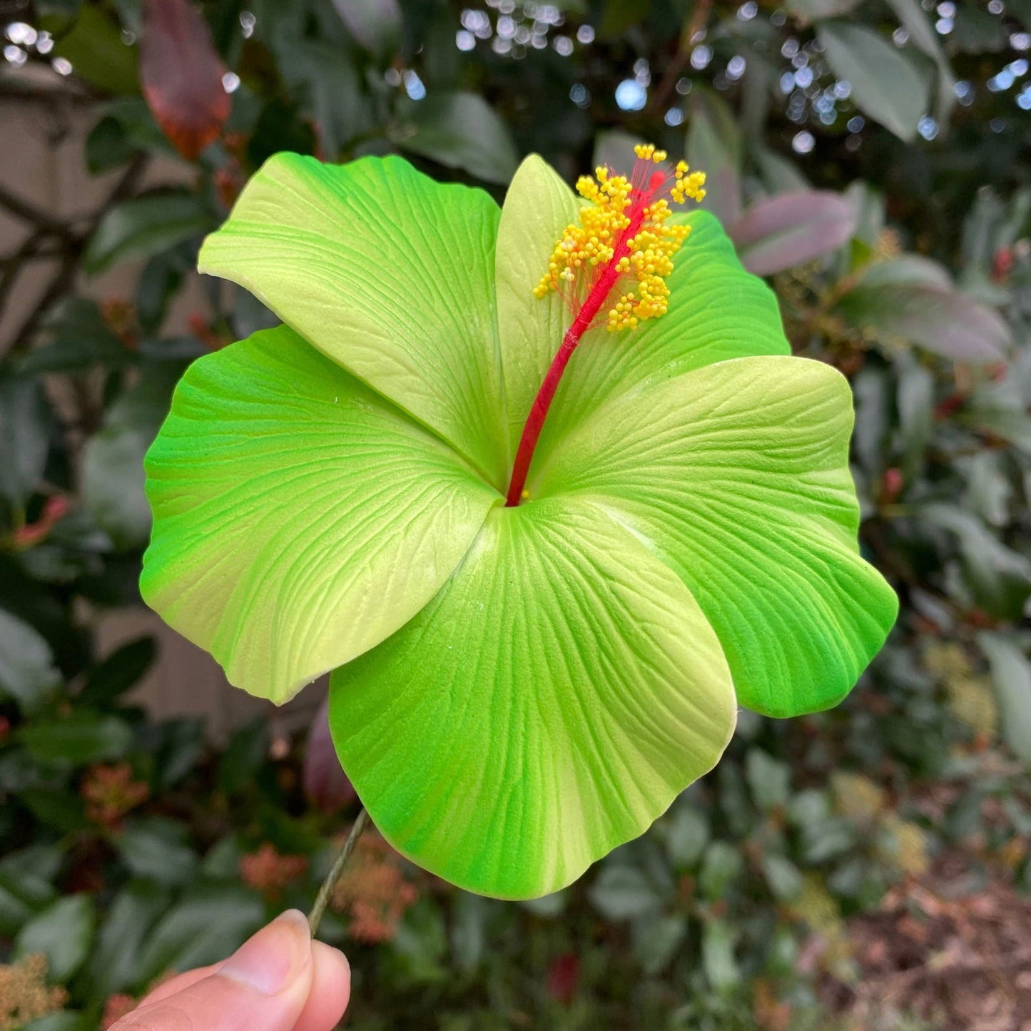 XL Gradient Hibiscus Polynesian Sei Artificial Foam Hair Flowers 11cm - Island Aesthetica