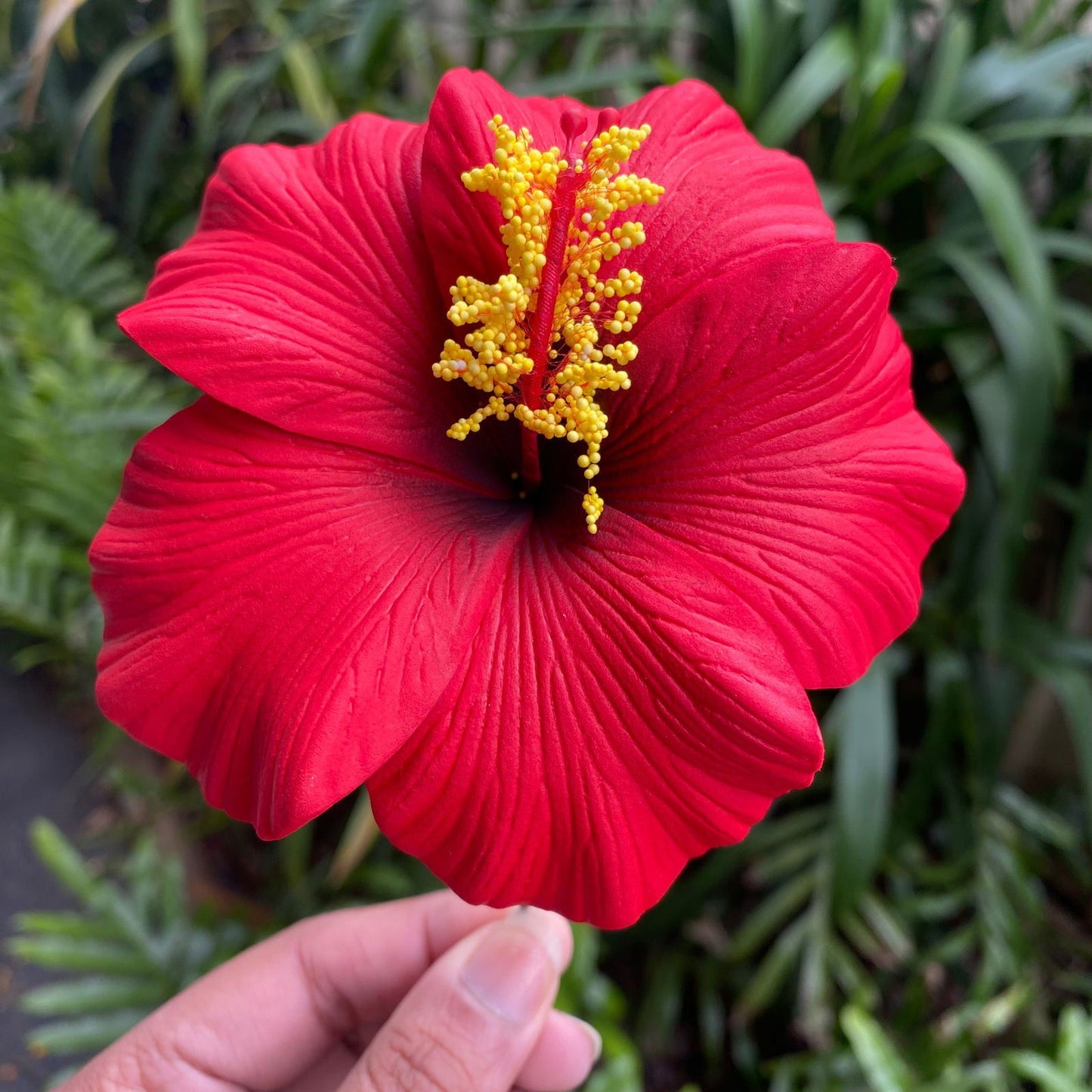 XL Gradient Hibiscus Polynesian Sei Artificial Foam Hair Flowers 11cm - Island Aesthetica