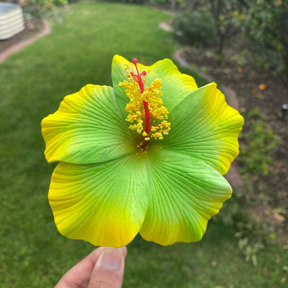 XL Gradient Hibiscus Polynesian Sei Artificial Foam Hair Flowers 11cm - Island Aesthetica