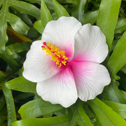 XL Hibiscus Polynesian Sei Artificial Foam Hair Flowers 12.5cm - Island Aesthetica