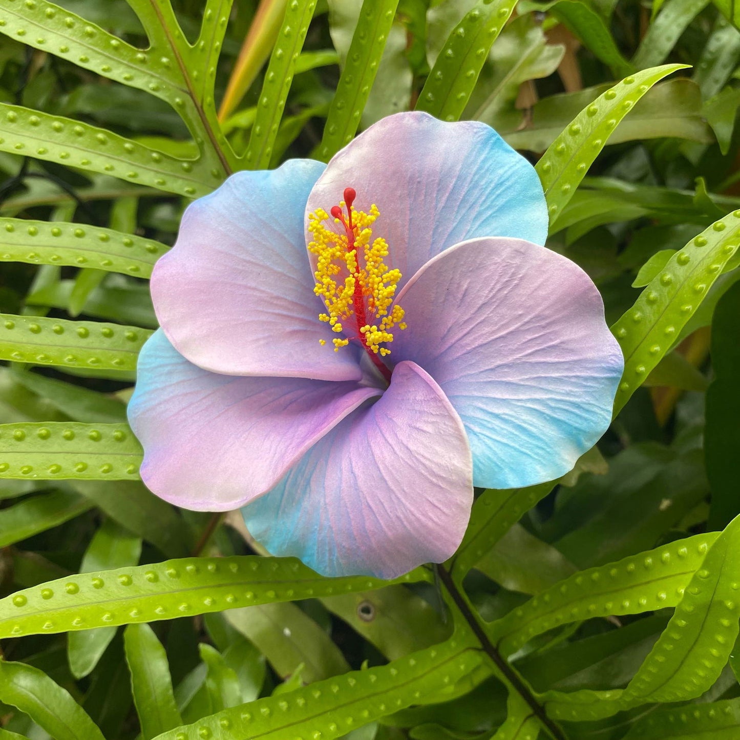 XL Hibiscus Polynesian Sei Artificial Foam Hair Flowers 12.5cm - Island Aesthetica