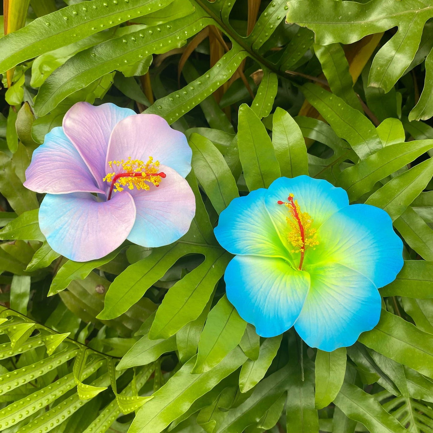 XL Hibiscus Polynesian Sei Artificial Foam Hair Flowers 12.5cm - Island Aesthetica