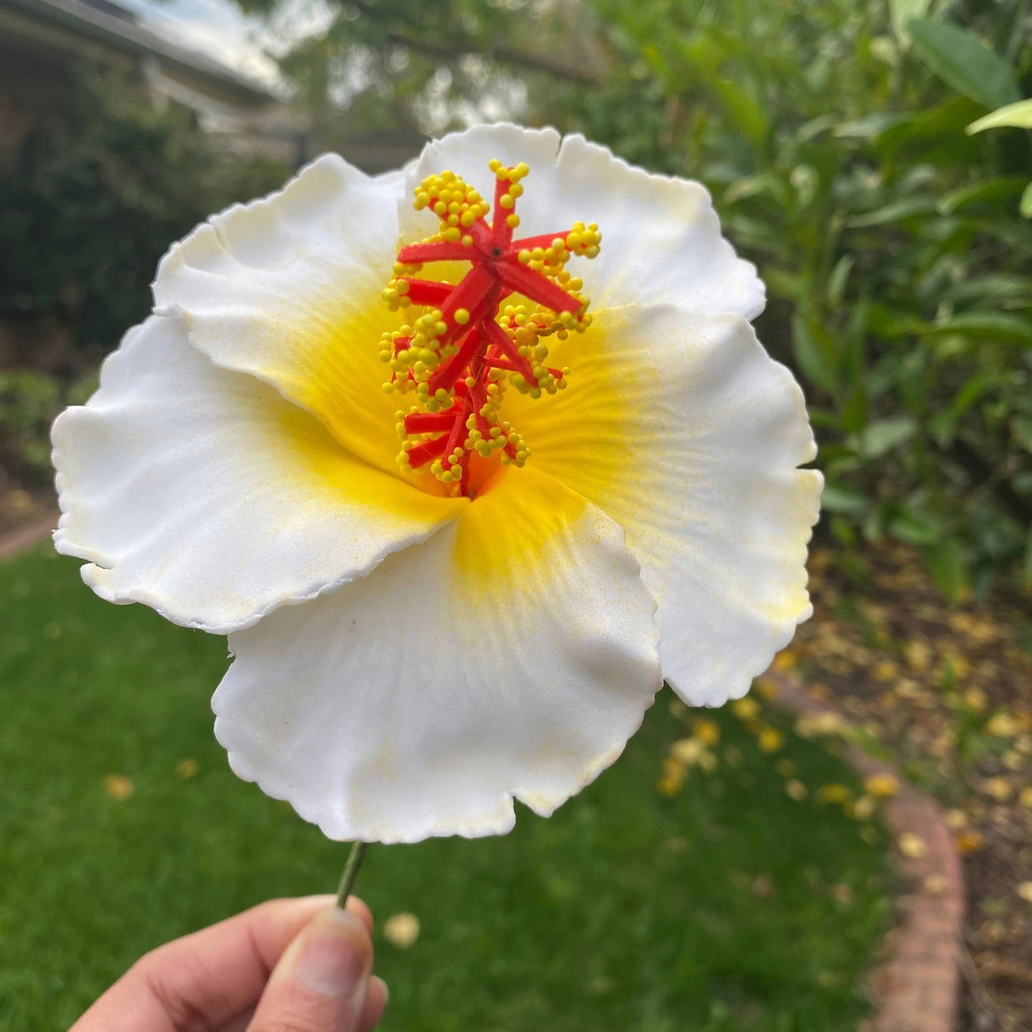 XL Hibiscus Polynesian Sei Flowers 12cm - Island Aesthetica