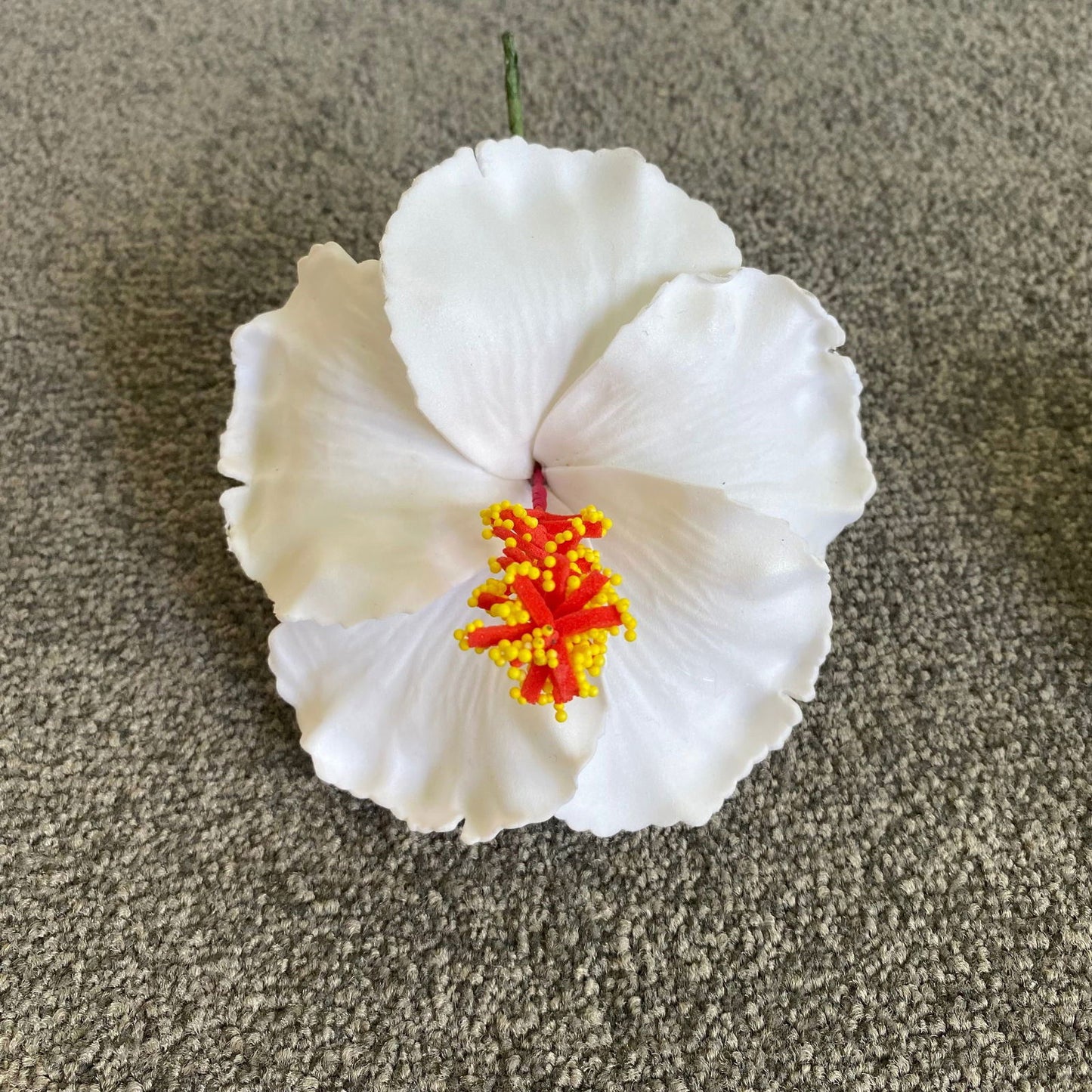 XL Hibiscus Polynesian Sei Flowers 12cm - Island Aesthetica