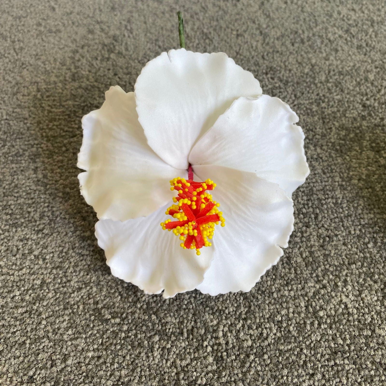 XL Hibiscus Polynesian Sei Flowers 12cm - Island Aesthetica
