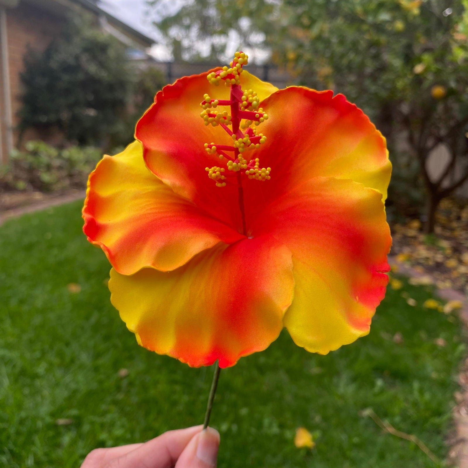 XL Hibiscus Polynesian Sei Flowers 12cm - Island Aesthetica