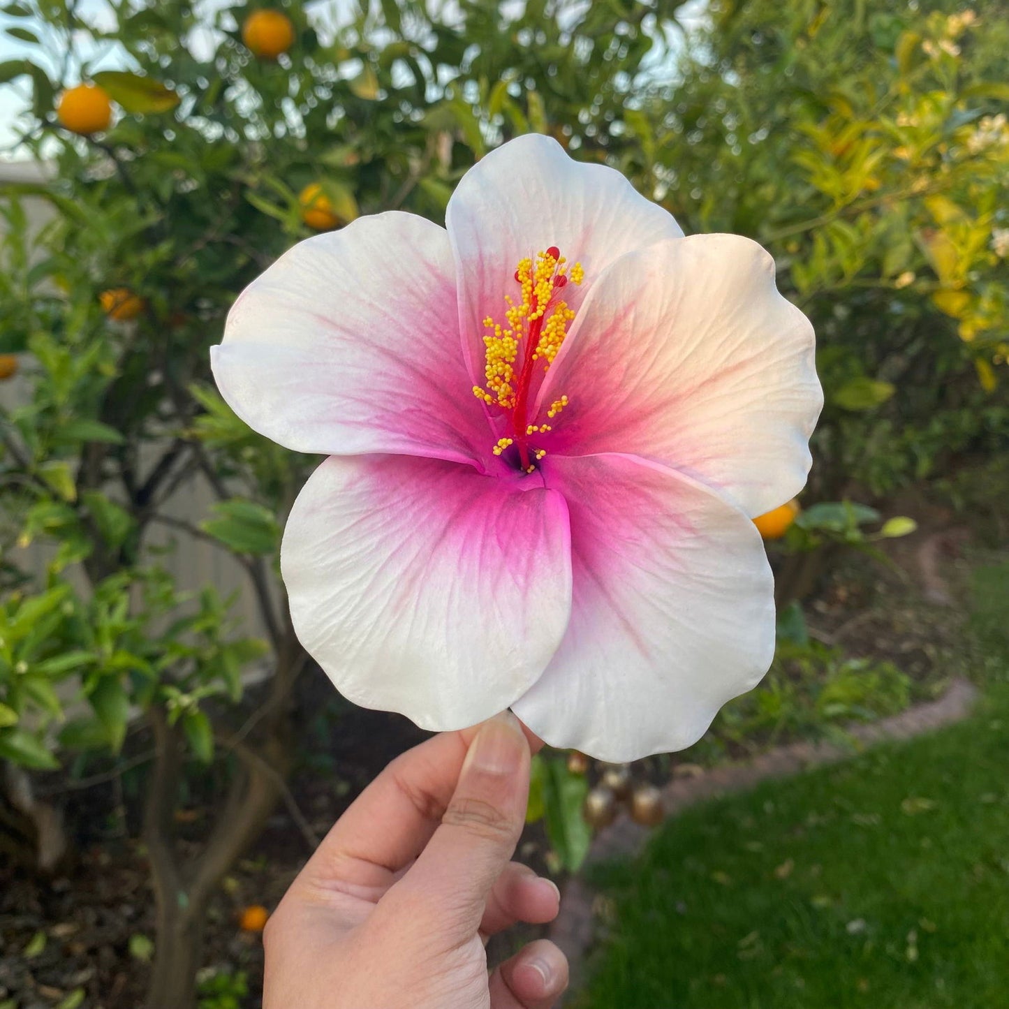 XL Stripe Hibiscus Polynesian Sei Artificial Foam Hair Flowers 12.5cm - Island Aesthetica