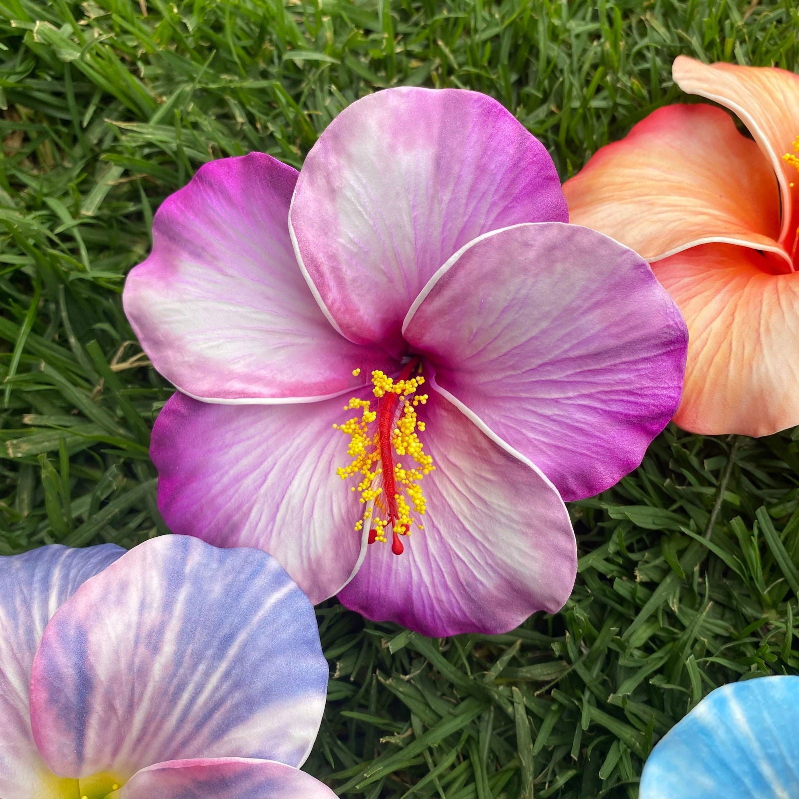 XL Stripe Hibiscus Polynesian Sei Artificial Foam Hair Flowers 12.5cm - Island Aesthetica