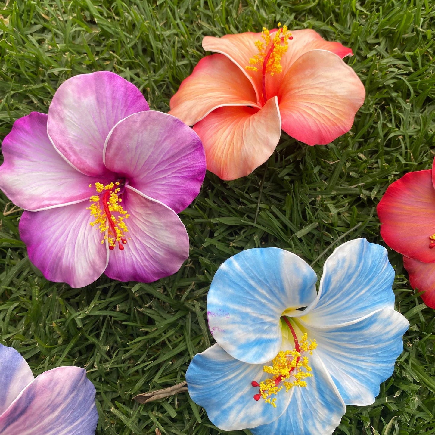 XL Stripe Hibiscus Polynesian Sei Artificial Foam Hair Flowers 12.5cm - Island Aesthetica