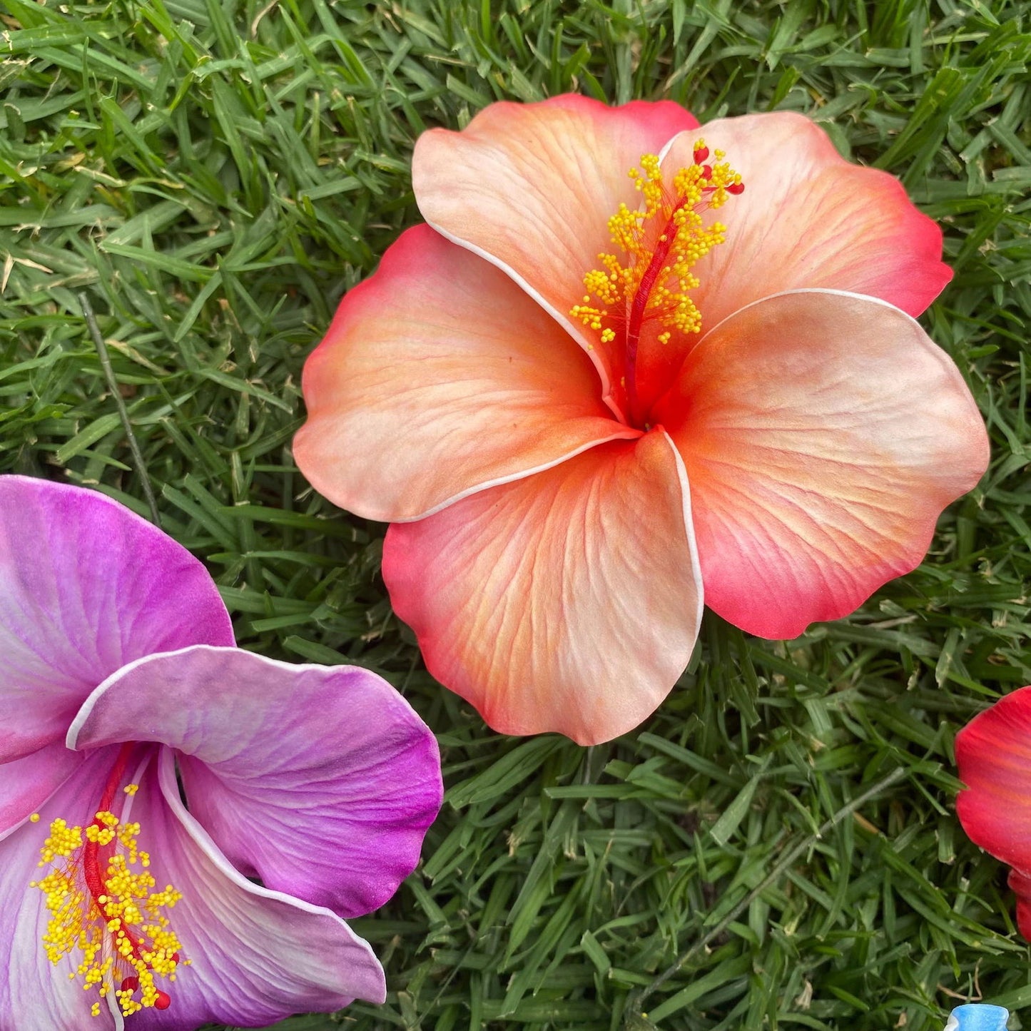 XL Stripe Hibiscus Polynesian Sei Artificial Foam Hair Flowers 12.5cm - Island Aesthetica