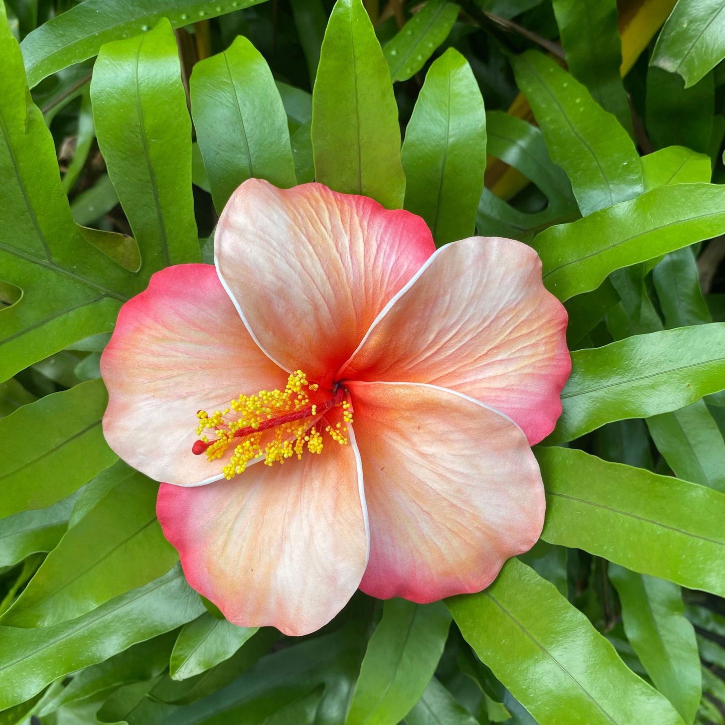 XL Stripe Hibiscus Polynesian Sei Artificial Foam Hair Flowers 12.5cm - Island Aesthetica