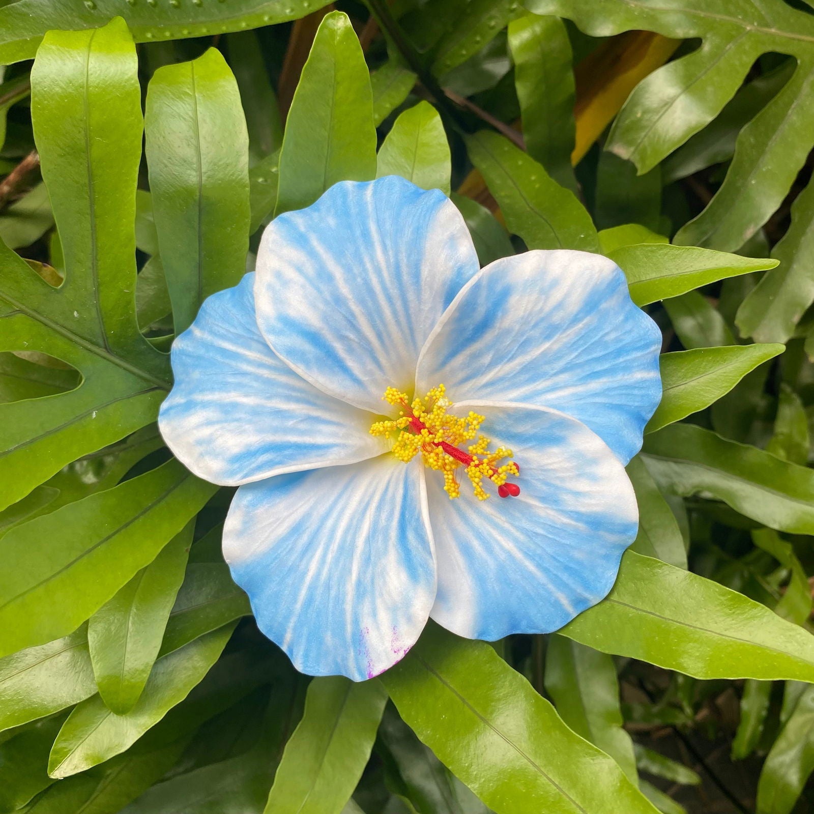 XL Stripe Hibiscus Polynesian Sei Artificial Foam Hair Flowers 12.5cm - Island Aesthetica