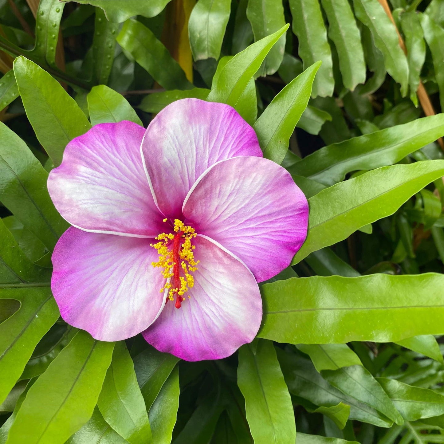 XL Stripe Hibiscus Polynesian Sei Artificial Foam Hair Flowers 12.5cm - Island Aesthetica