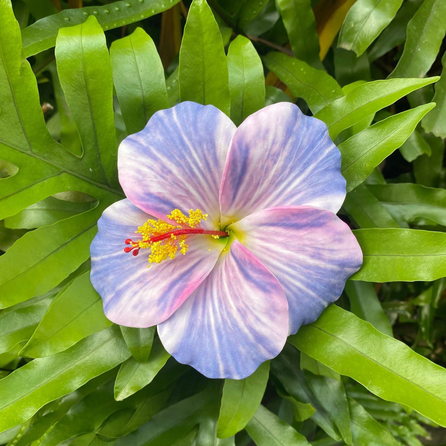 XL Stripe Hibiscus Polynesian Sei Artificial Foam Hair Flowers 12.5cm - Island Aesthetica