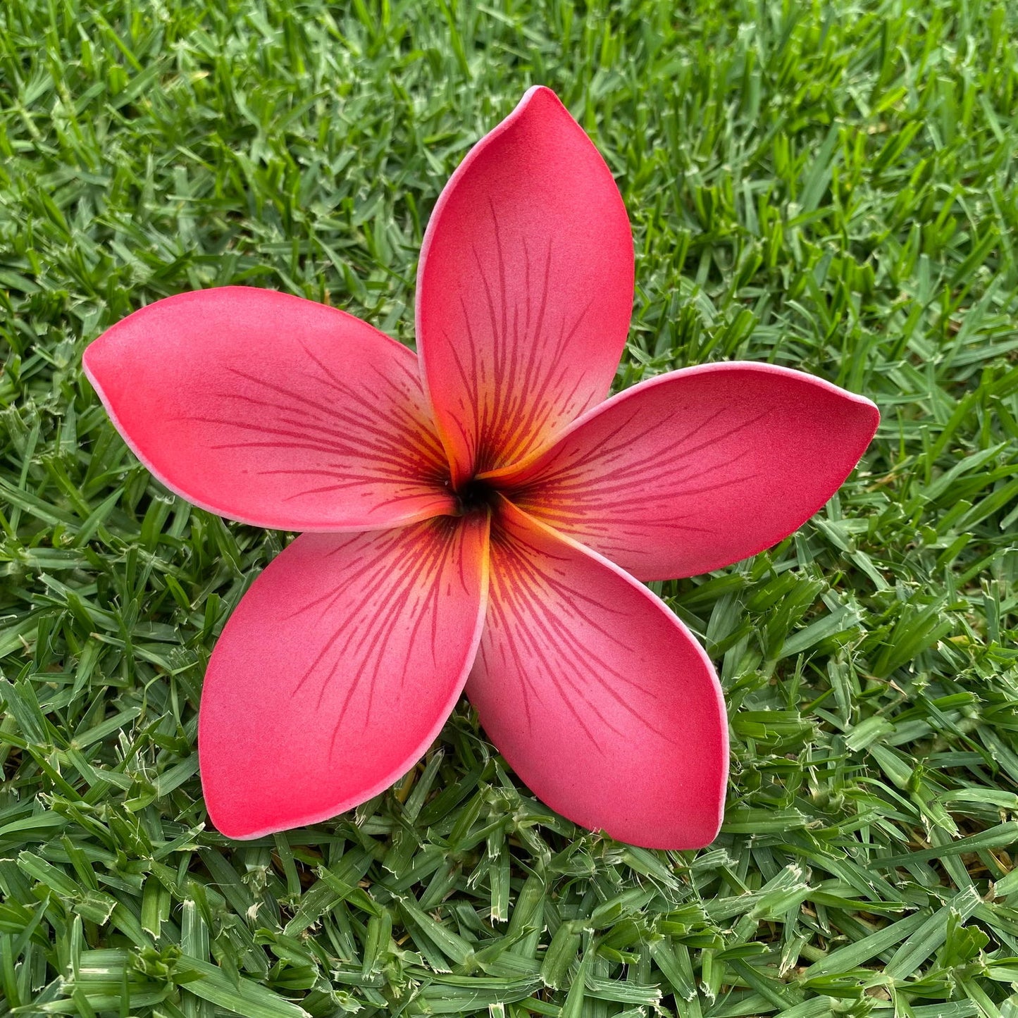 XXL Frangipani Sei Faux Hair Flowers Pacific Islander Womens Accessories 14cm Tekiteki - Island Aesthetica