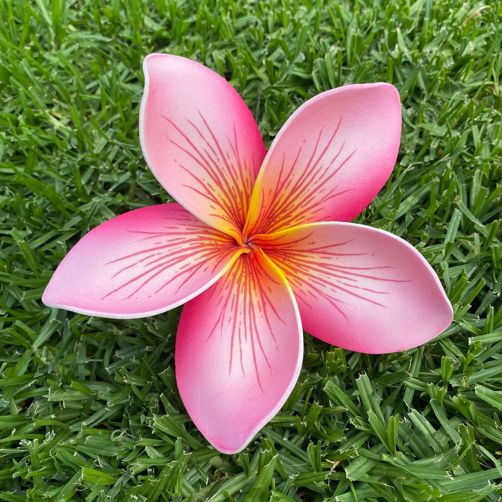 XXL Frangipani Sei Faux Hair Flowers Pacific Islander Womens Accessories 14cm Tekiteki - Island Aesthetica