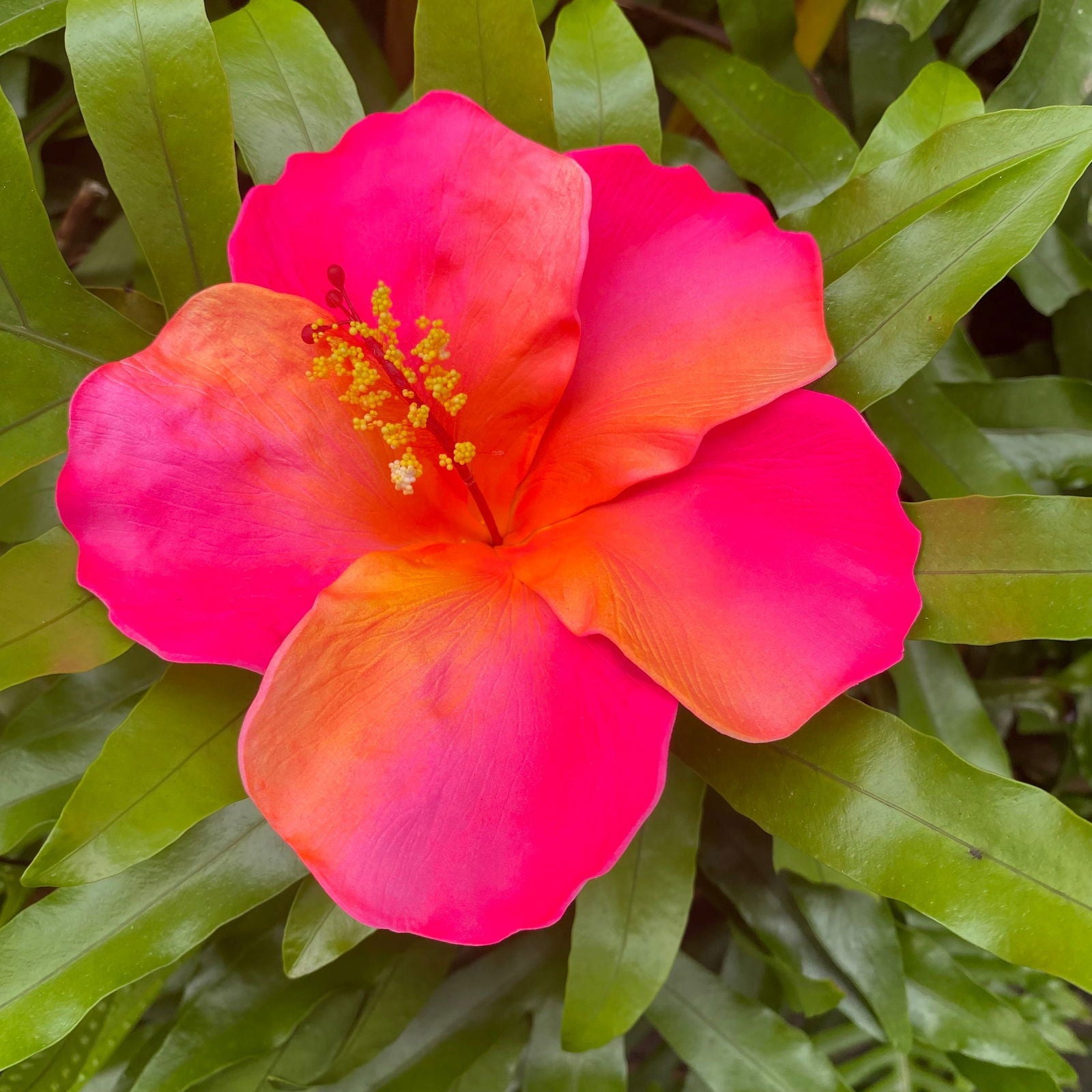 XXL Hand-painted Hibiscus Polynesian Sei Artificial Foam Hair Flowers 13cm - Island Aesthetica