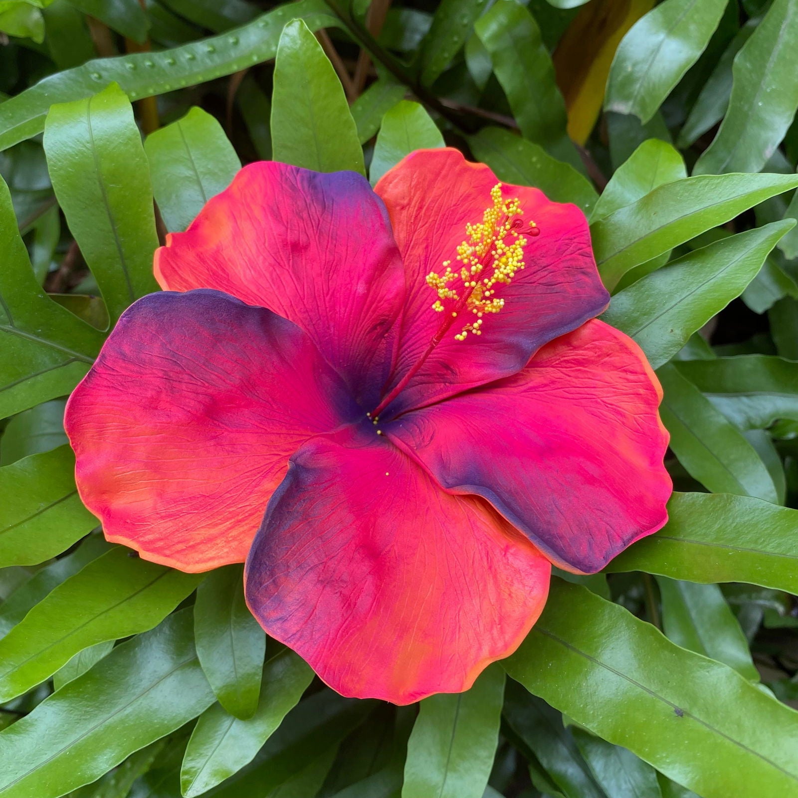 XXL Hand-painted Hibiscus Polynesian Sei Artificial Foam Hair Flowers 13cm - Island Aesthetica