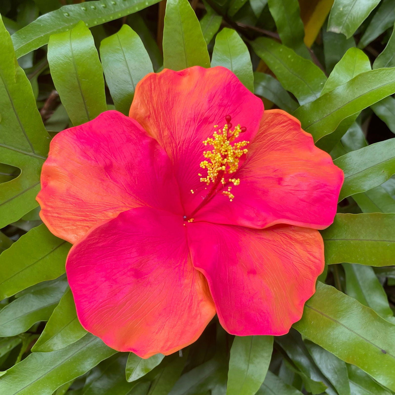 XXL Hand-painted Hibiscus Polynesian Sei Artificial Foam Hair Flowers 13cm - Island Aesthetica