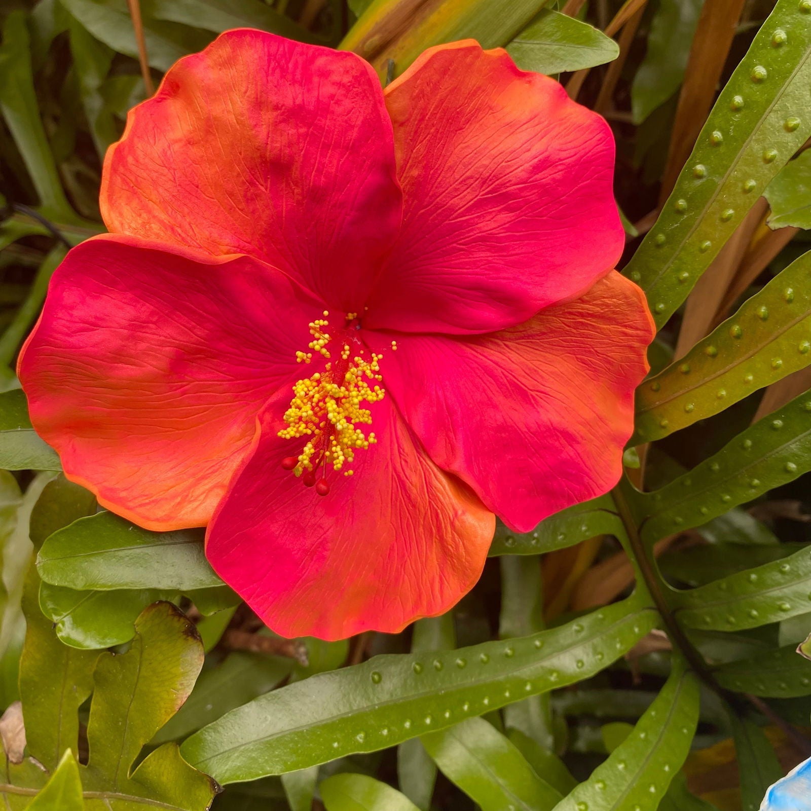 XXL Hand-painted Hibiscus Polynesian Sei Artificial Foam Hair Flowers 13cm - Island Aesthetica