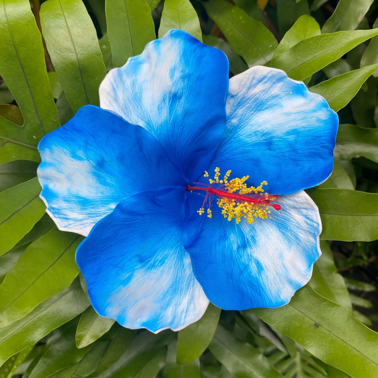 XXL Hand-painted Hibiscus Polynesian Sei Artificial Foam Hair Flowers 13cm - Island Aesthetica