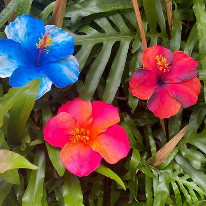 XXL Hand-painted Hibiscus Polynesian Sei Artificial Foam Hair Flowers 13cm - Island Aesthetica