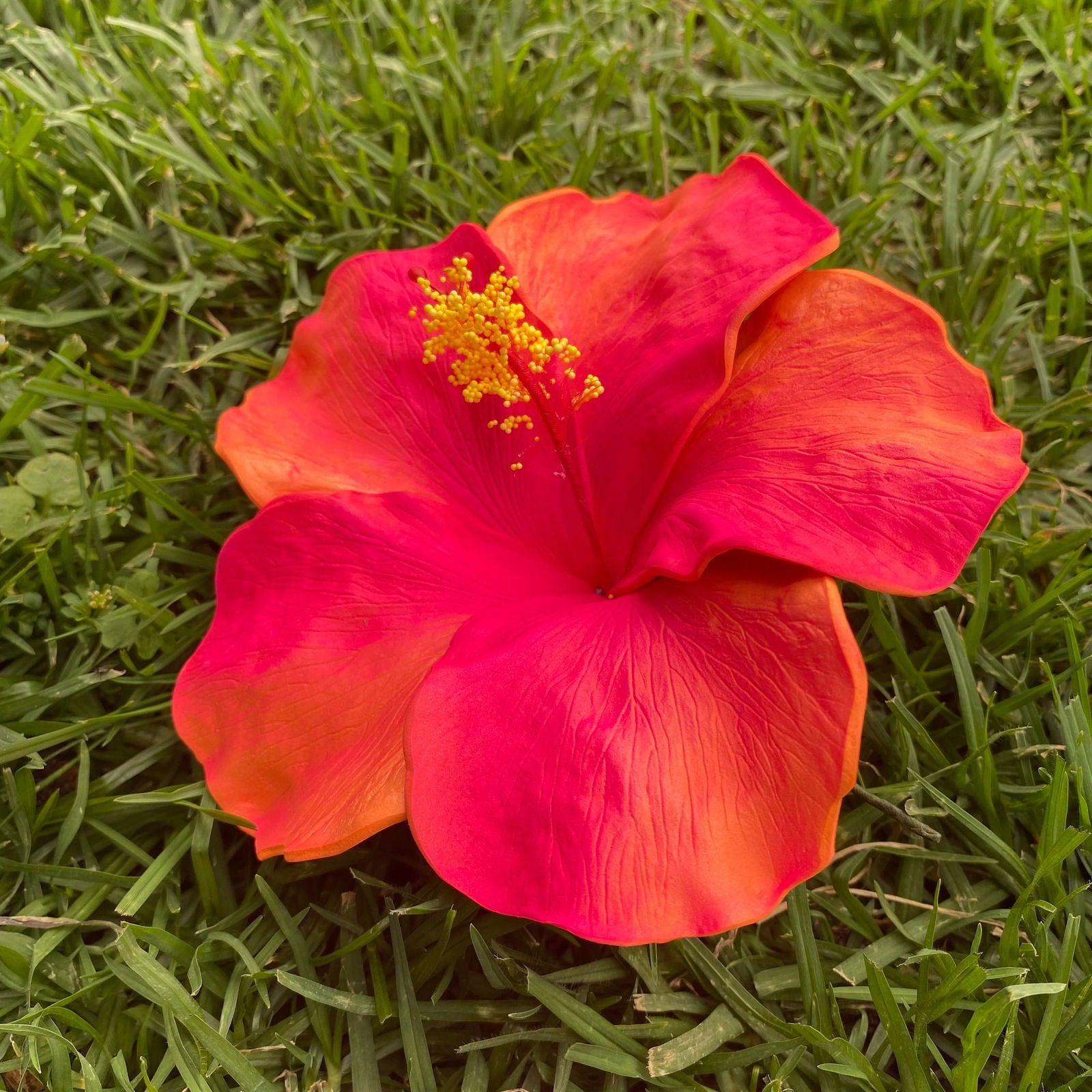 XXL Hand-painted Hibiscus Polynesian Sei Artificial Foam Hair Flowers 13cm - Island Aesthetica