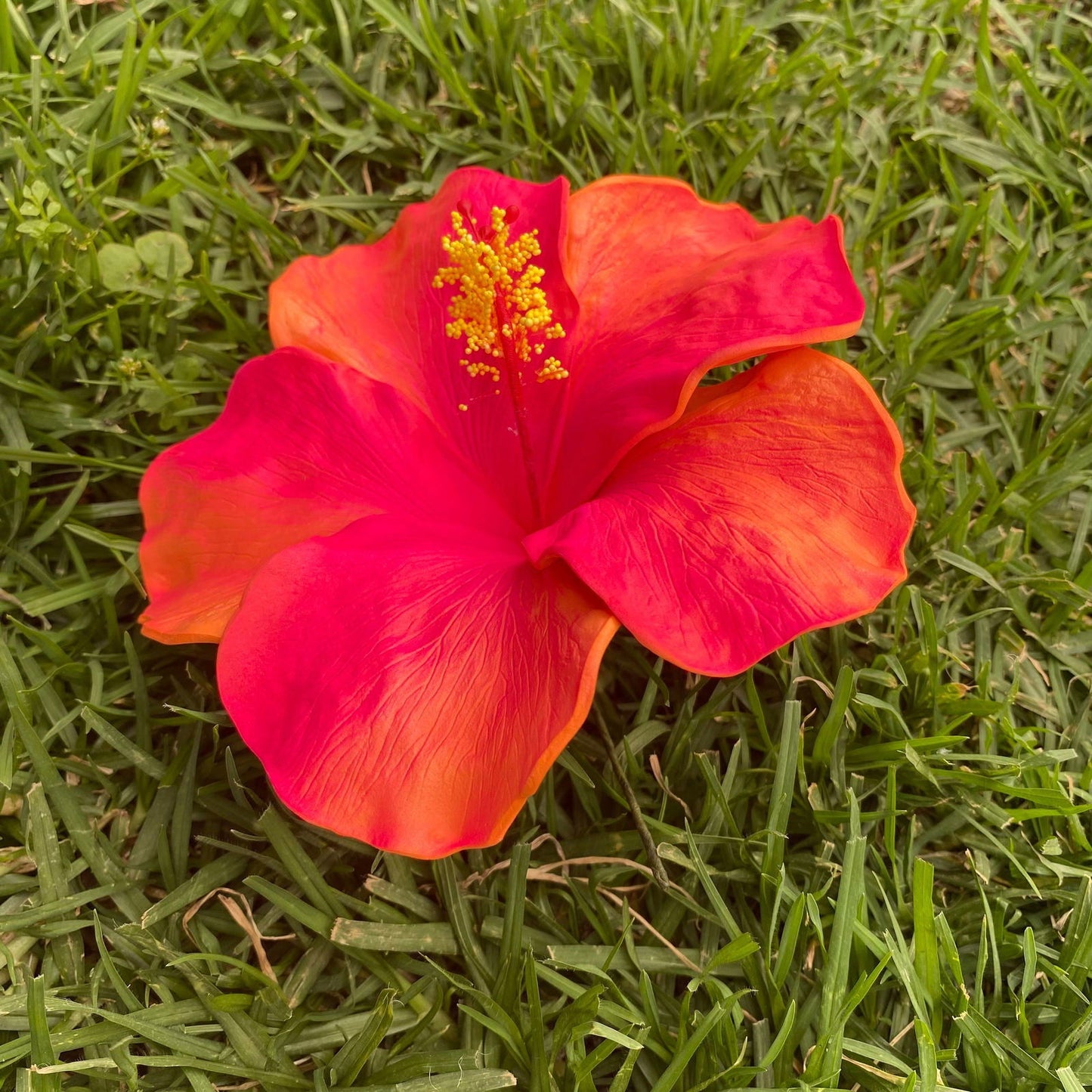 XXL Hand-painted Hibiscus Polynesian Sei Artificial Foam Hair Flowers 13cm - Island Aesthetica